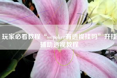 玩家必看教程“wepoker有透视挂吗”开挂辅助透视教程