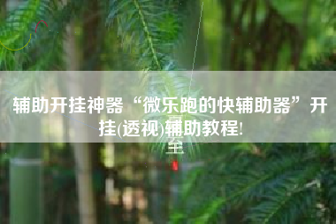 辅助开挂神器“微乐跑的快辅助器”开挂(透视)辅助教程!