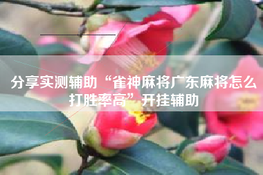 分享实测辅助“雀神麻将广东麻将怎么打胜率高”开挂辅助