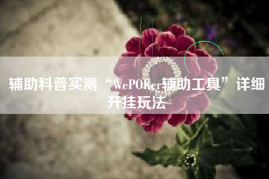 辅助科普实测“WePOKer辅助工具”详细开挂玩法