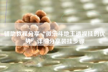 辅助教程分享“微乐斗地主透视挂的优势”详细分享装挂步骤