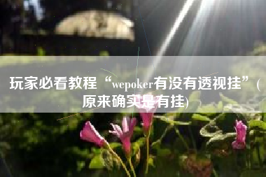 玩家必看教程“wepoker有没有透视挂	”(原来确实是有挂)