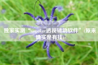 独家实测“wepoker透视辅助软件	”(原来确实是有挂)