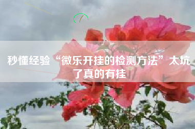 秒懂经验“微乐开挂的检测方法”太坑了真的有挂