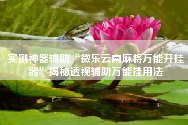 实测神器辅助“微乐云南麻将万能开挂器”揭秘透视辅助万能挂用法