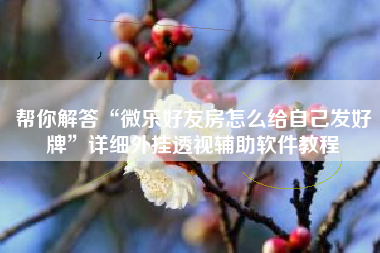 帮你解答“微乐好友房怎么给自己发好牌”详细外挂透视辅助软件教程