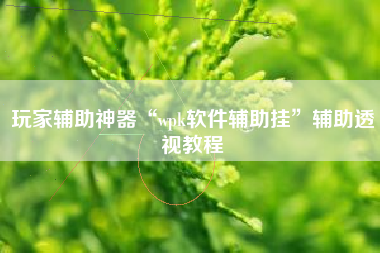 玩家辅助神器“wpk软件辅助挂”辅助透视教程