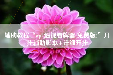 辅助教程“wpk透视看牌器(免费版)	”开挂辅助脚本+详细开挂