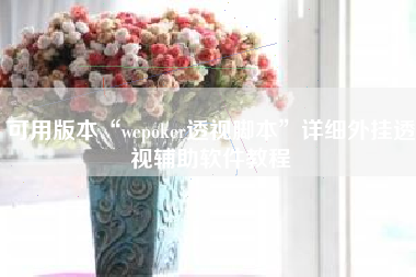 可用版本“wepoker透视脚本	”详细外挂透视辅助软件教程