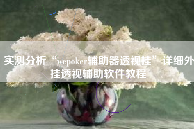 实测分析“wepoker辅助器透视挂”详细外挂透视辅助软件教程