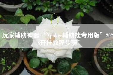 玩家辅助神器:“Xpoker辅助挂专用版”2026开挂教程步骤