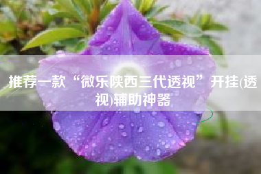 推荐一款“微乐陕西三代透视	”开挂(透视)辅助神器