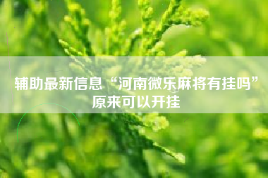 辅助最新信息“河南微乐麻将有挂吗”原来可以开挂