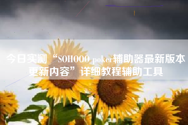 今日实测“SOHOOO poker辅助器最新版本更新内容	”详细教程辅助工具