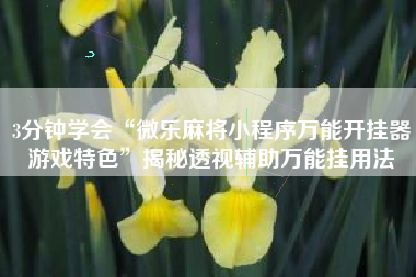 3分钟学会“微乐麻将小程序万能开挂器游戏特色”揭秘透视辅助万能挂用法