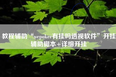 教程辅助“wepoker有挂吗透视软件	”开挂辅助脚本+详细开挂