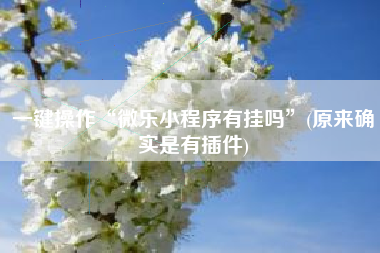 一键操作“微乐小程序有挂吗”(原来确实是有插件)