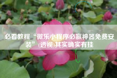 必看教程“微乐小程序必赢神器免费安装”(透视)其实确实有挂