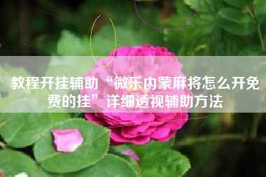 教程开挂辅助“微乐内蒙麻将怎么开免费的挂”详细透视辅助方法