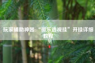 玩家辅助神器:“微乐透视挂”开挂详细教程