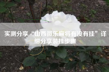实测分享“山西微乐麻将有没有挂	”详细分享装挂步骤
