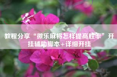 教程分享“微乐麻将怎样提高胜率	”开挂辅助脚本+详细开挂