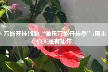 万能开挂辅助“微乐万能开挂器”(原来确实是有插件)