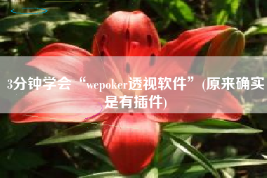 3分钟学会“wepoker透视软件”(原来确实是有插件)
