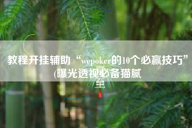 教程开挂辅助“wepoker的10个必赢技巧	”(曝光透视必备猫腻