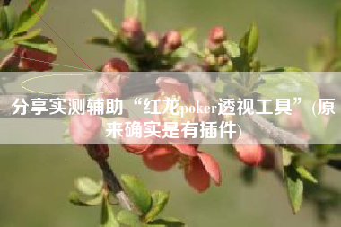 分享实测辅助“红龙poker透视工具”(原来确实是有插件)