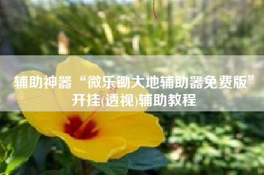 辅助神器“微乐锄大地辅助器免费版”开挂(透视)辅助教程