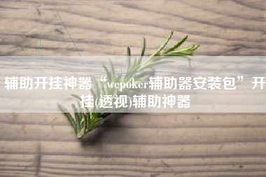 辅助开挂神器“wepoker辅助器安装包	”开挂(透视)辅助神器