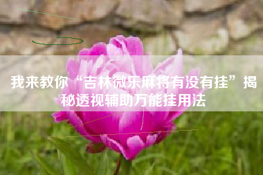 我来教你“吉林微乐麻将有没有挂”揭秘透视辅助万能挂用法