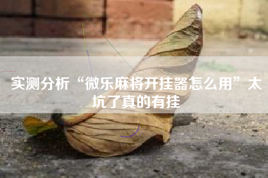 实测分析“微乐麻将开挂器怎么用”太坑了真的有挂
