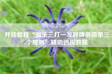 开挂教程“微乐三打一发好牌最简单三个规则”辅助透视教程