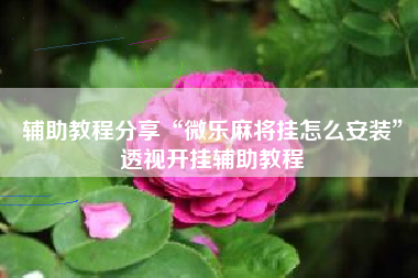 辅助教程分享“微乐麻将挂怎么安装”透视开挂辅助教程