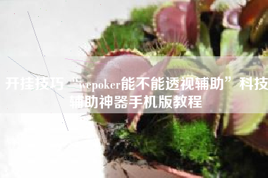 开挂技巧“wepoker能不能透视辅助”科技辅助神器手机版教程
