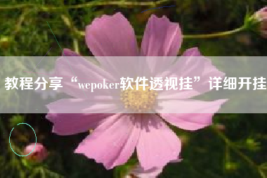 教程分享“wepoker软件透视挂”详细开挂
