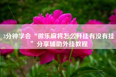 3分钟学会“微乐麻将怎么开挂有没有挂	”分享辅助外挂教程