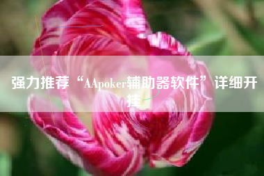强力推荐“AApoker辅助器软件	”详细开挂