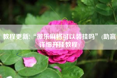 教程更新!“微乐麻将可以装挂吗”(助赢详细开挂教程)