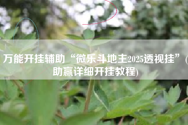 万能开挂辅助“微乐斗地主2025透视挂	”(助赢详细开挂教程)