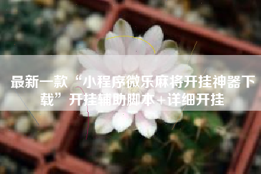 最新一款“小程序微乐麻将开挂神器下载”开挂辅助脚本+详细开挂