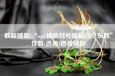 教程辅助!“wpk辅助封号最怕三个东西	”作弊(透视)透视辅助