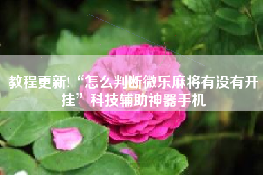 教程更新!“怎么判断微乐麻将有没有开挂	”科技辅助神器手机