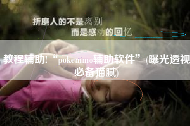 教程辅助!“pokemmo辅助软件”(曝光透视必备猫腻)