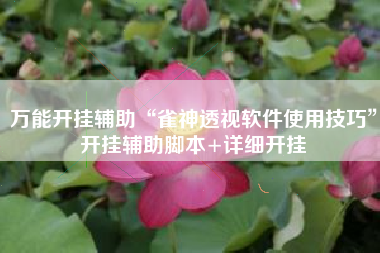 万能开挂辅助“雀神透视软件使用技巧”开挂辅助脚本+详细开挂