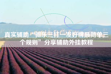 真实辅助“微乐三打一发好牌最简单三个规则	”分享辅助外挂教程