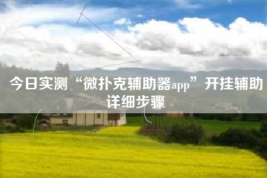 今日实测“微扑克辅助器app”开挂辅助详细步骤