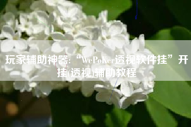 玩家辅助神器:“WePoKer透视软件挂”开挂(透视)辅助教程